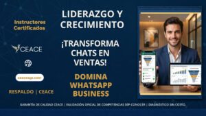 WhatsApp Business CEACE