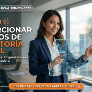 V EC0249 Proporcionar Servicios de Consultoría General