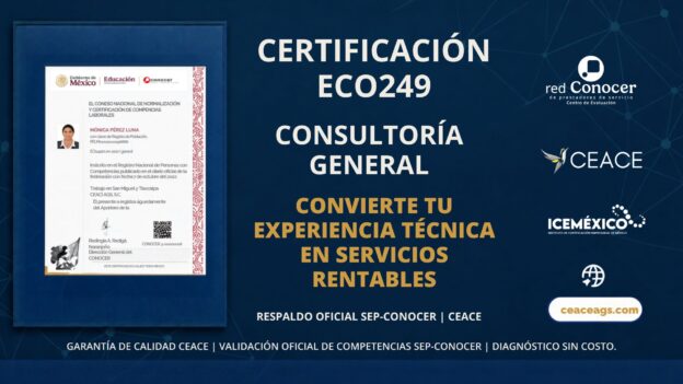 Certificación EC0249 Consultoría