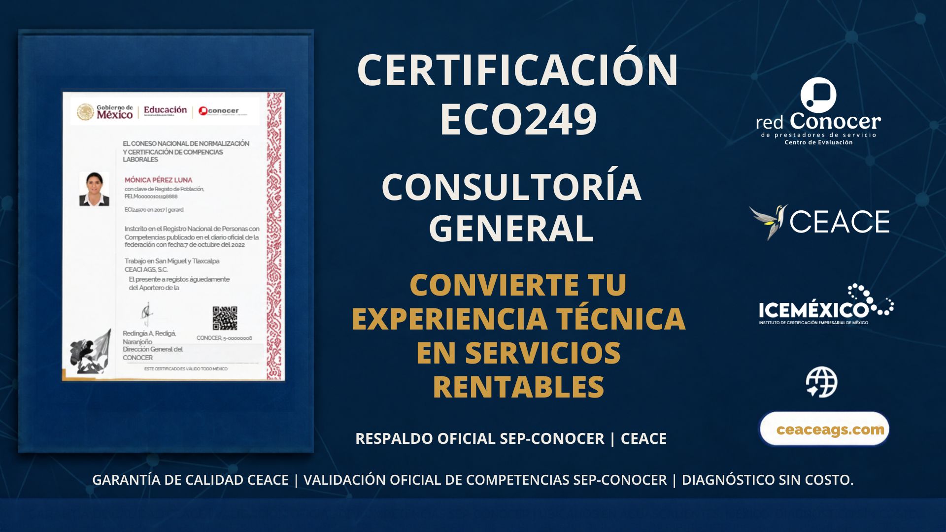 Certificación EC0249 Consultoría