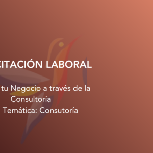 Impulsa tu Negocio a través de la Consultoría