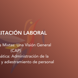 Comisiones Mixtas: Una Visión General (CAP)