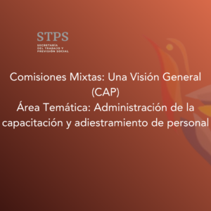 Comisiones Mixtas: Una Visión General (CAP)