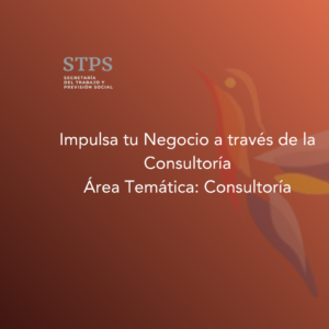 Impulsa tu Negocio a través de la Consultoría