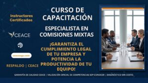 Especialista en Comisiones Mixtas de Capacitación y Formatos STPS CEACE