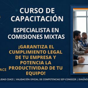 Especialista en Comisiones Mixtas de Capacitación y Formatos STPS CEACE