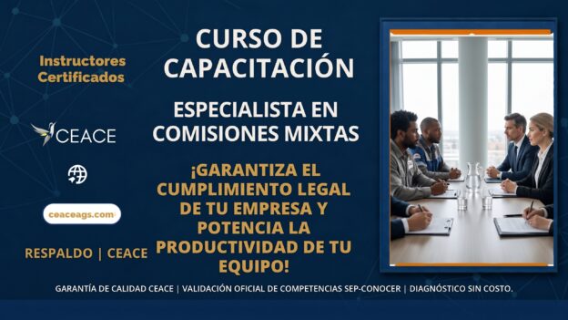 Especialista en Comisiones Mixtas de Capacitación y Formatos STPS CEACE