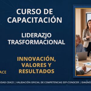 Liderazgo Transformacional en el Servicio Público CEACE