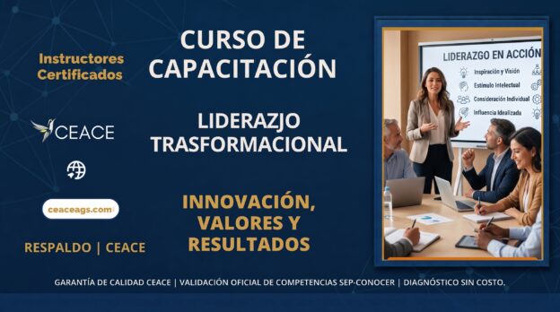 Liderazgo Transformacional en el Servicio Público CEACE
